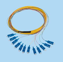 高效组网关键节点 288芯光缆交接箱的应用与选型指南